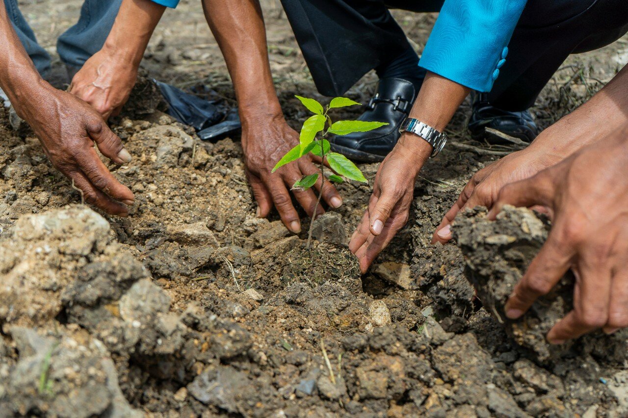 UNDP's ambitious reforestation initiative in the Comoros | City2City